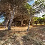 Pompia-2 By Interhome Apartment Santa Lucia (Sardinia)