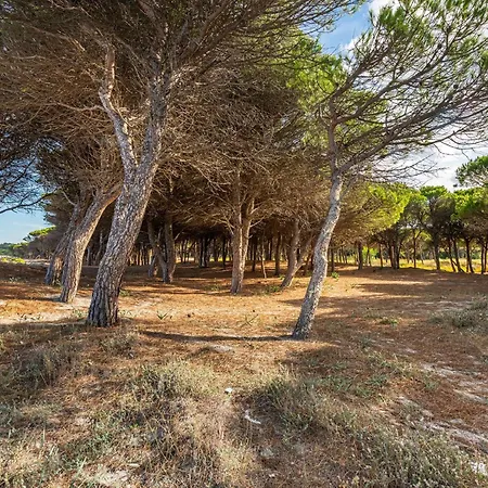 Pompia-2 By Interhome Apartamento Santa Lucia (Sardinia)